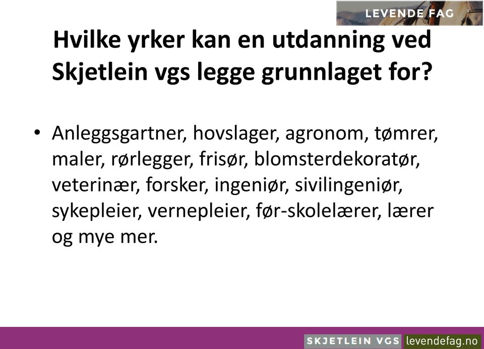 rørlegger, frisør, blomsterdekoratør, veterinær, forsker,