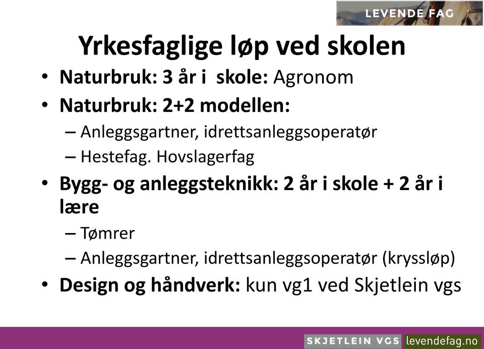 Hovslagerfag Bygg- og anleggsteknikk: 2 år i skole + 2 år i lære Tømrer