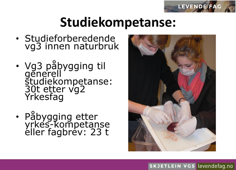 studiekompetanse: 30t etter vg2 Yrkesfag