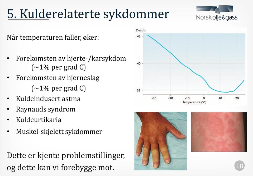 C) Kuldeindusert astma Raynauds syndrom Kuldeurtikaria Muskel-skjelett