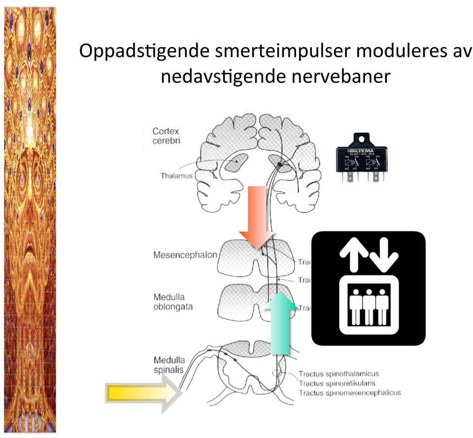 moduleres av