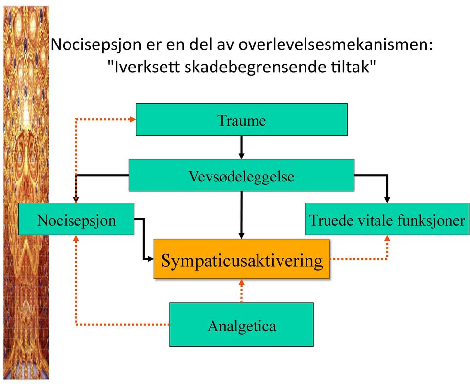 skadebegrensende ;ltak" Traume