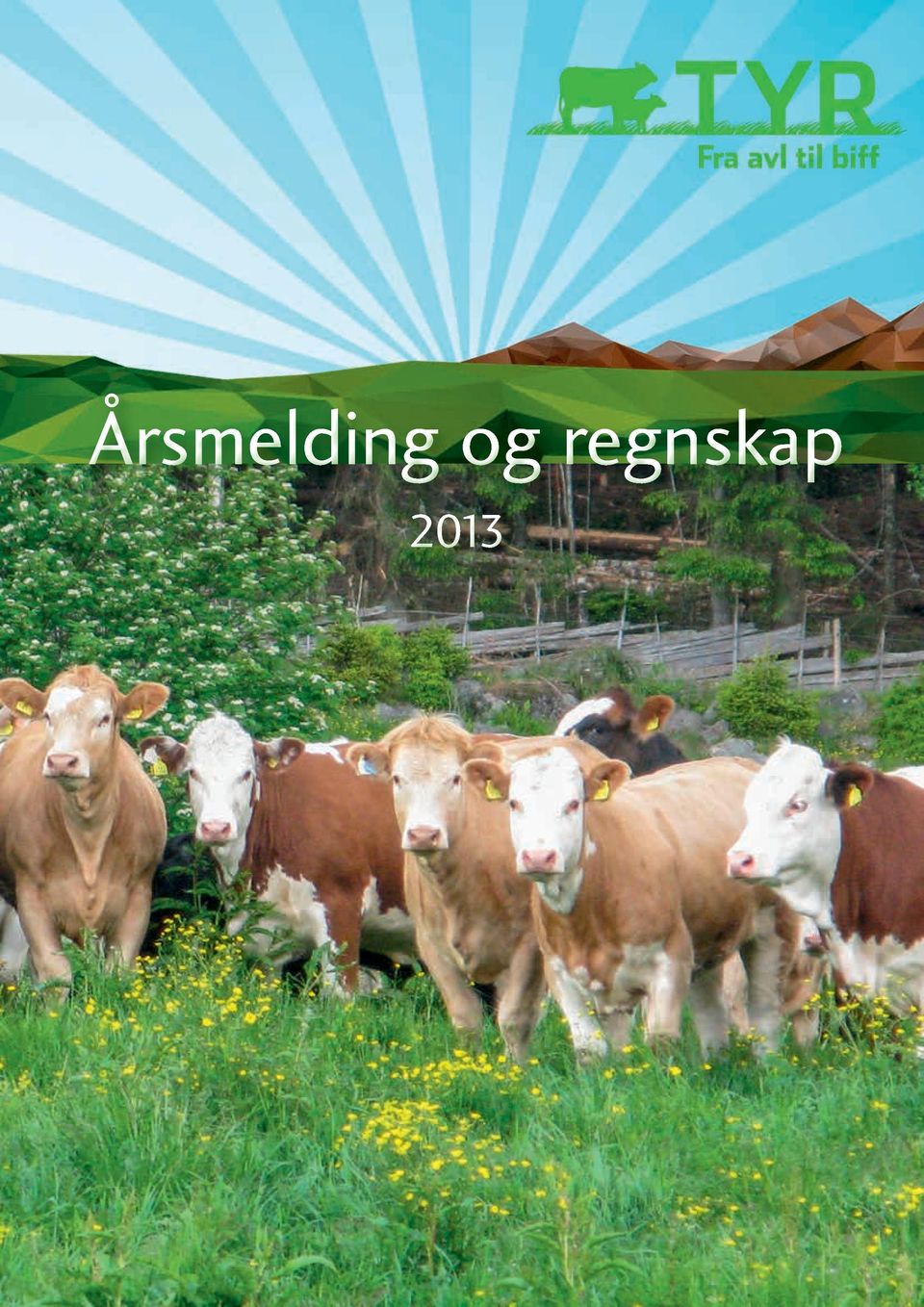 Regnskap 2013