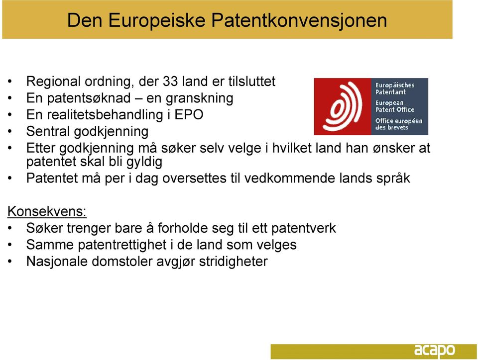 patentet skal bli gyldig Patentet må per i dag oversettes til vedkommende lands språk Konsekvens: Søker trenger