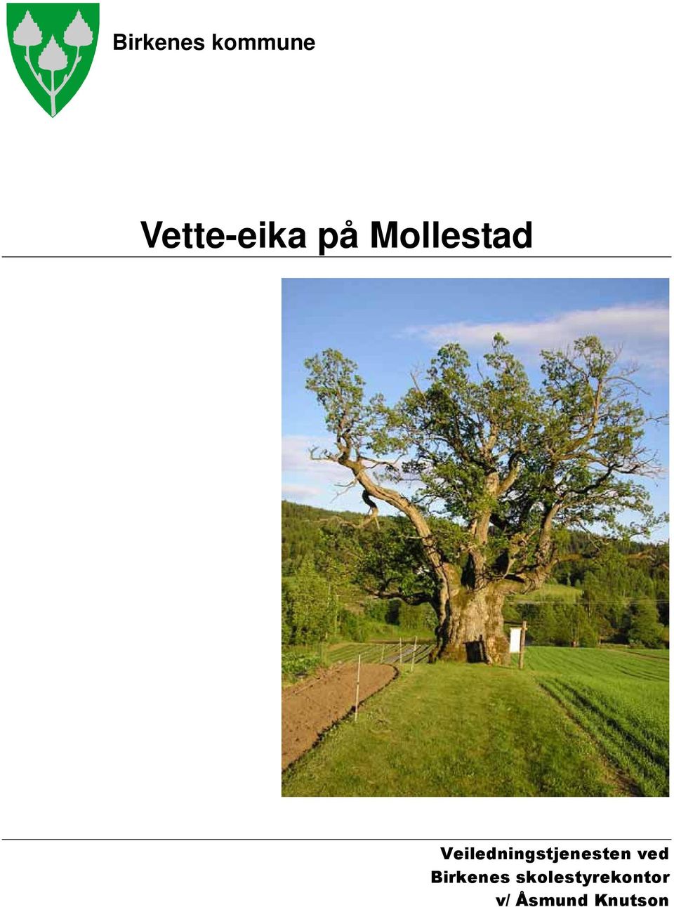 Veiledningstjenesten ved