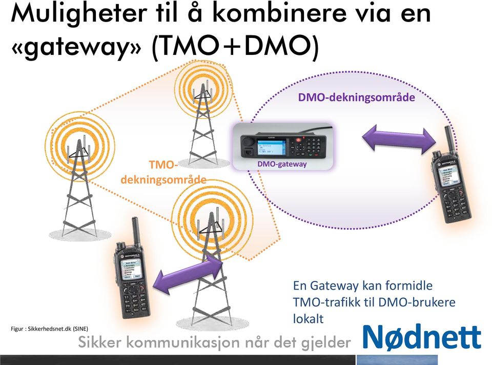 DMO-gateway Figur : Sikkerhedsnet.