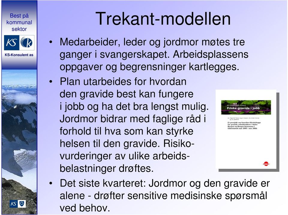 Plan utarbeides for hvordan den gravide best kan fungere i jobb og ha det bra lengst mulig.