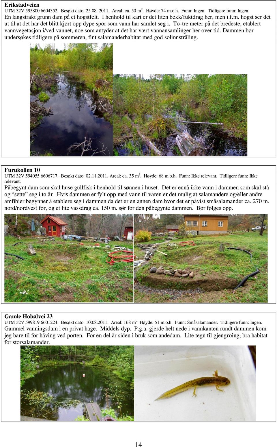 To-tre meter på det bredeste, etablert vannvegetasjon i/ved vannet, noe som antyder at det har vært vannansamlinger her over tid.