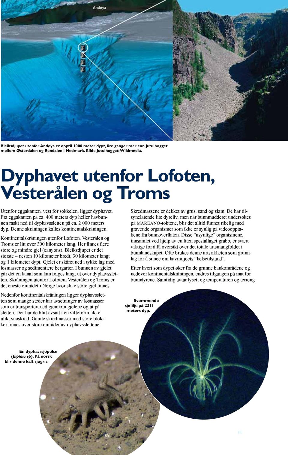 2 000 meters dyp. Denne skråningen kalles kontinentalskråningen. Kontinentalskråningen utenfor Lofoten, Vesterålen og Troms er litt over 300 kilometer lang.