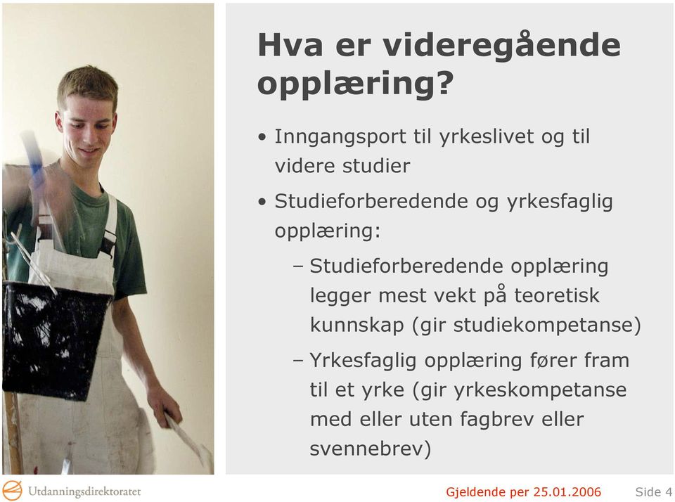 opplæring: Studieforberedende opplæring legger mest vekt på teoretisk kunnskap (gir