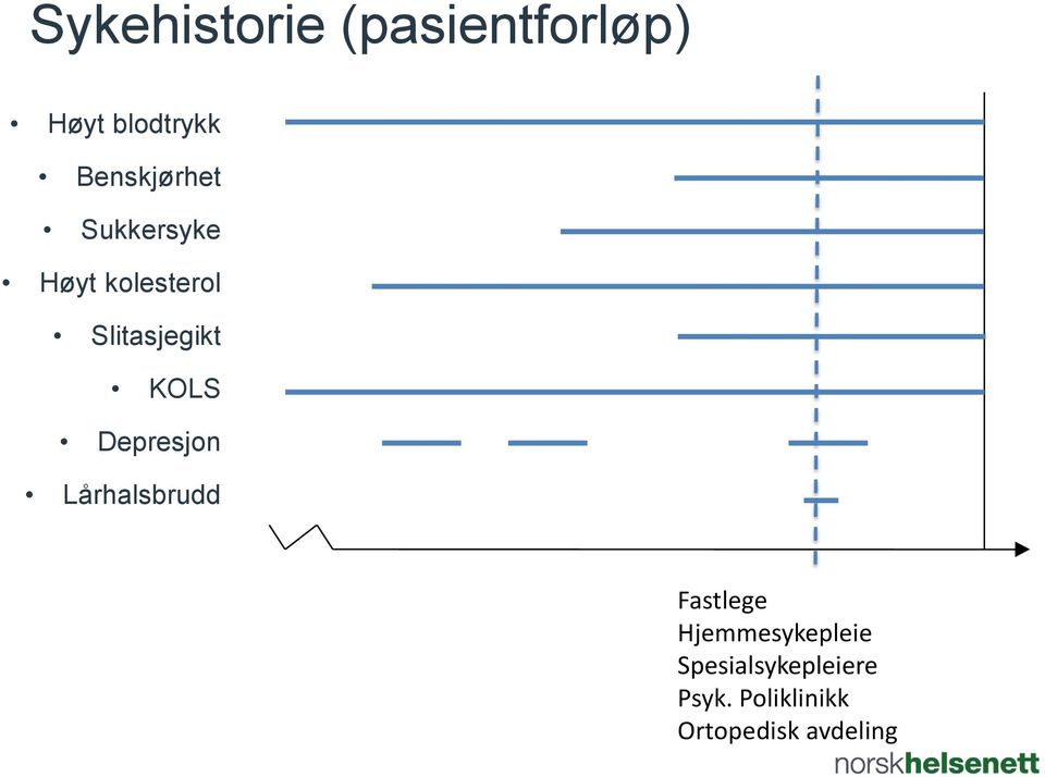 KOLS Depresjon Lårhalsbrudd Fastlege