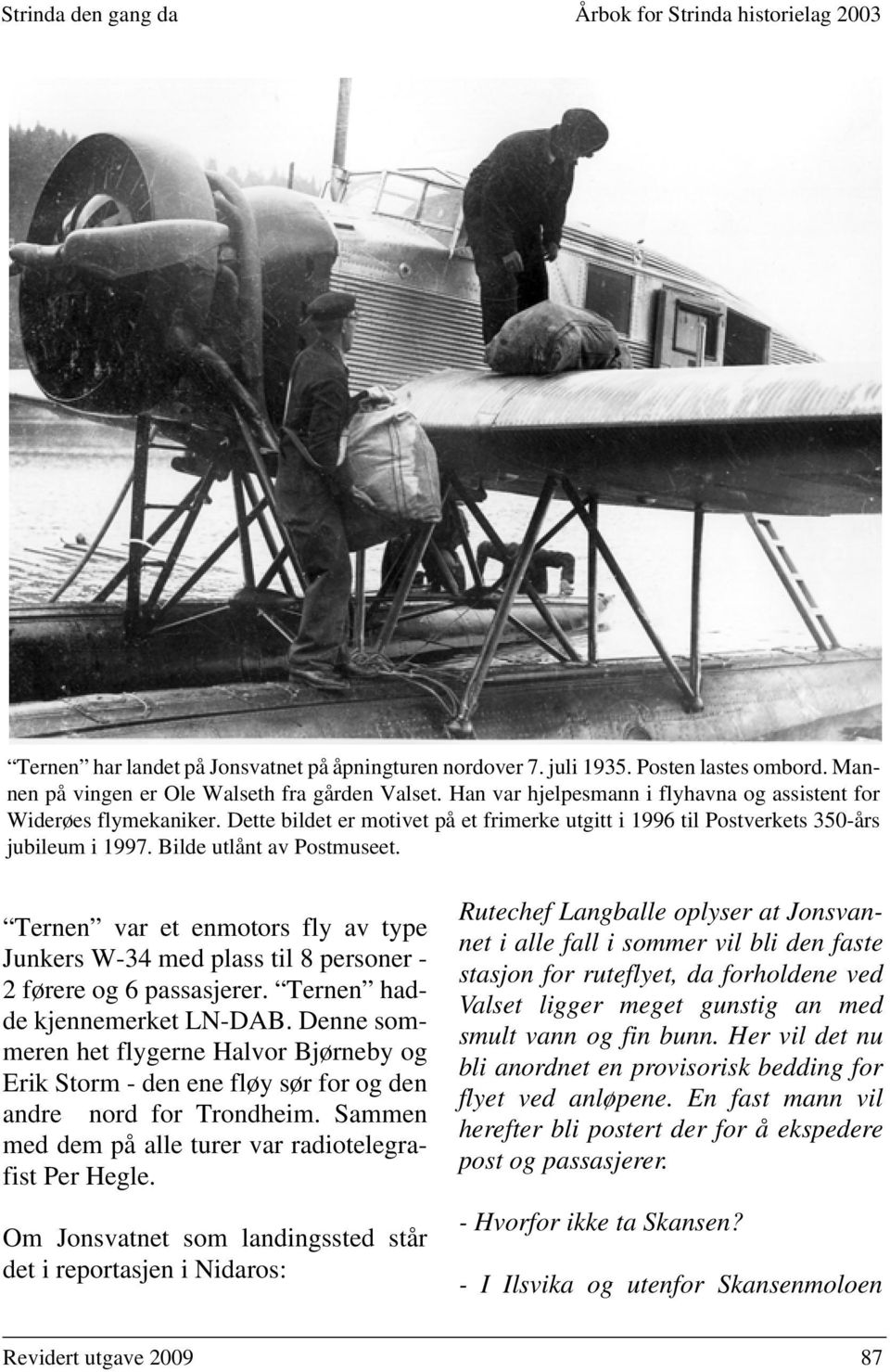 Ternen var et enmotors fly av type Junkers W-34 med plass til 8 personer - 2 førere og 6 passasjerer. Ternen hadde kjennemerket LN-DAB.