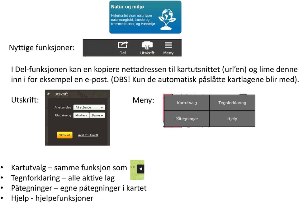 Kun de automatisk påslåtte kartlagene blir med).