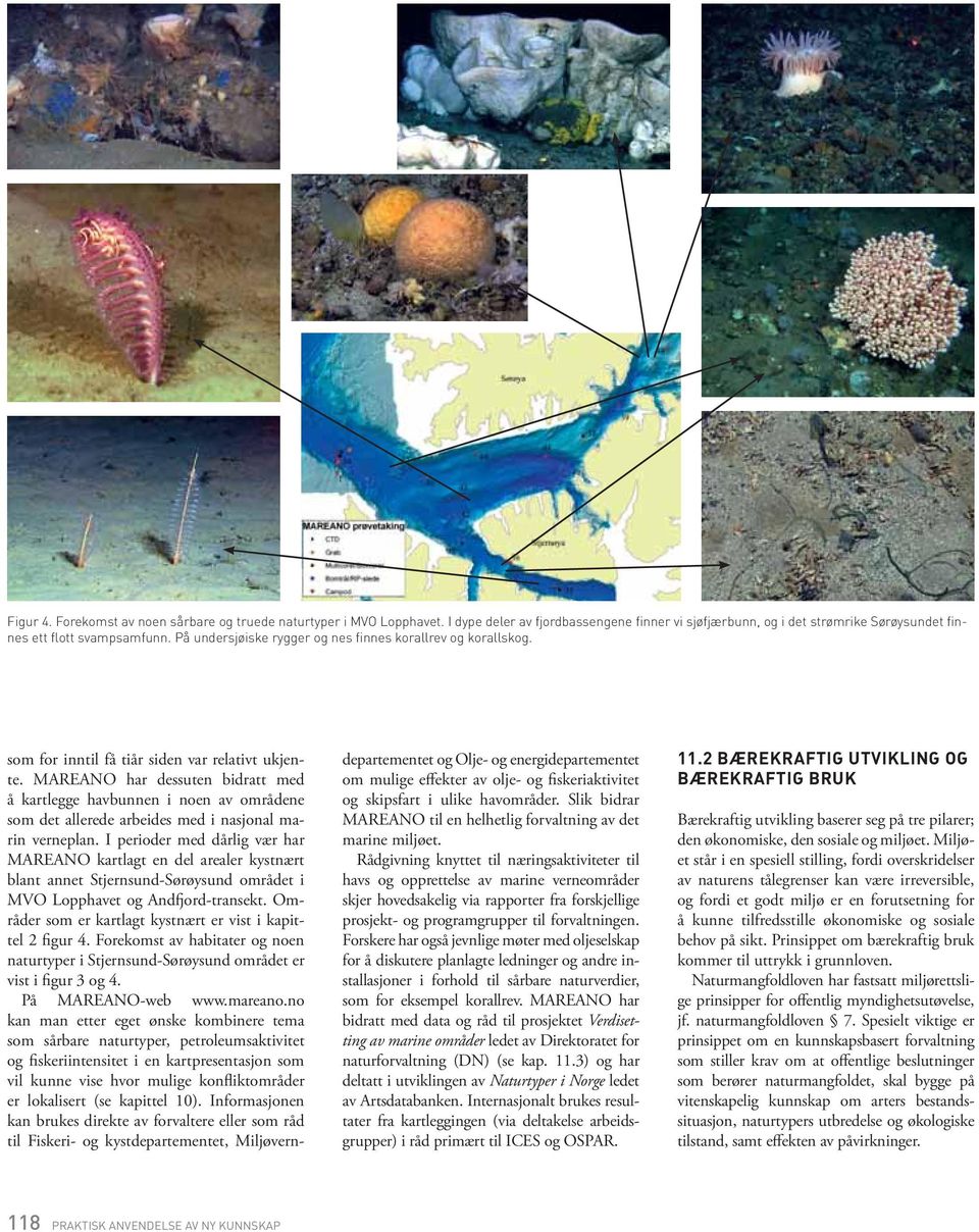 MAREANO har dessuten bidratt med å kartlegge havbunnen i noen av om rådene som det allerede arbeides med i nasjonal marin verneplan.