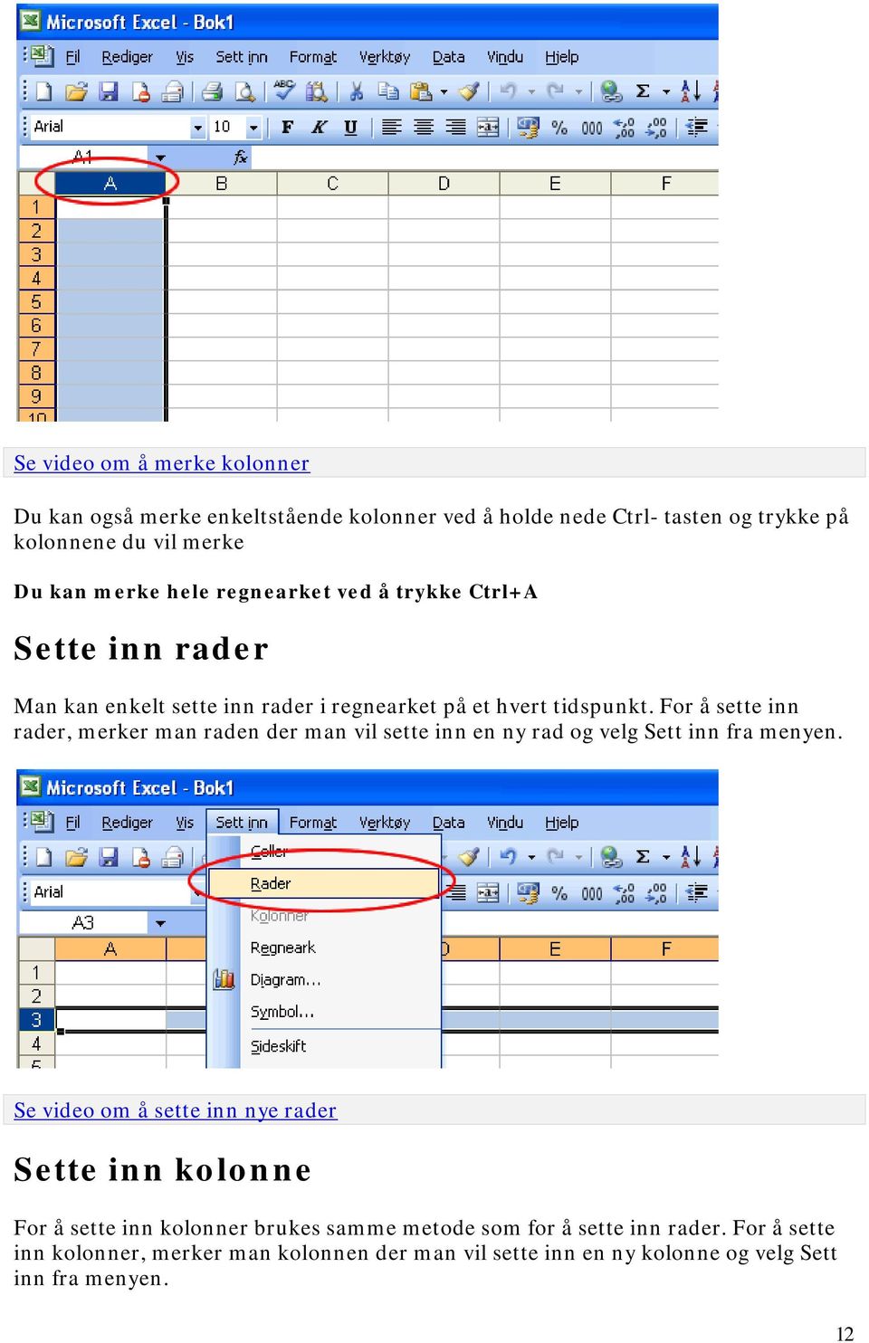 For å sette inn rader, merker man raden der man vil sette inn en ny rad og velg Sett inn fra menyen.