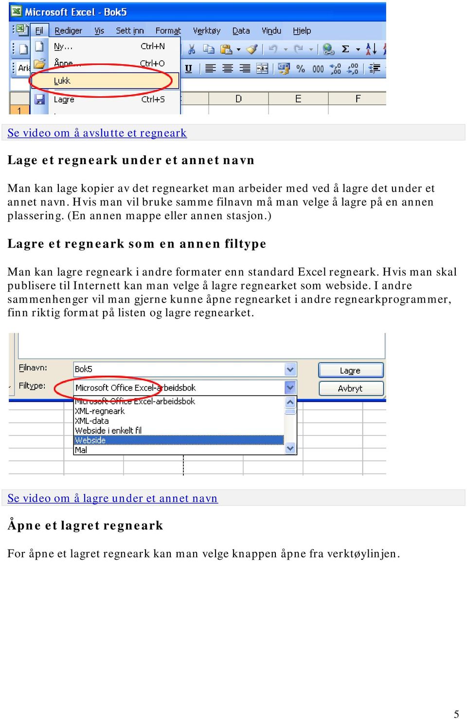 ) Lagre et regneark som en annen filtype Man kan lagre regneark i andre formater enn standard Excel regneark.