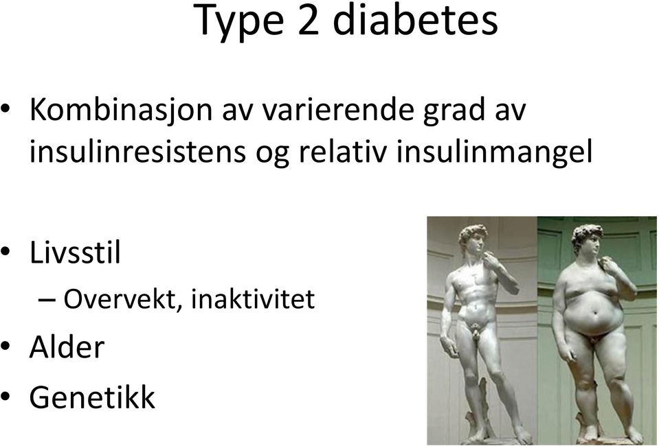 insulinresistens og relativ