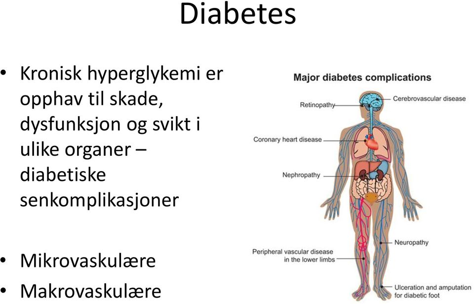 svikt i ulike organer diabetiske