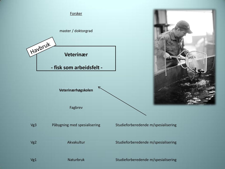 Studieforberedende m/spesialisering Akvakultur