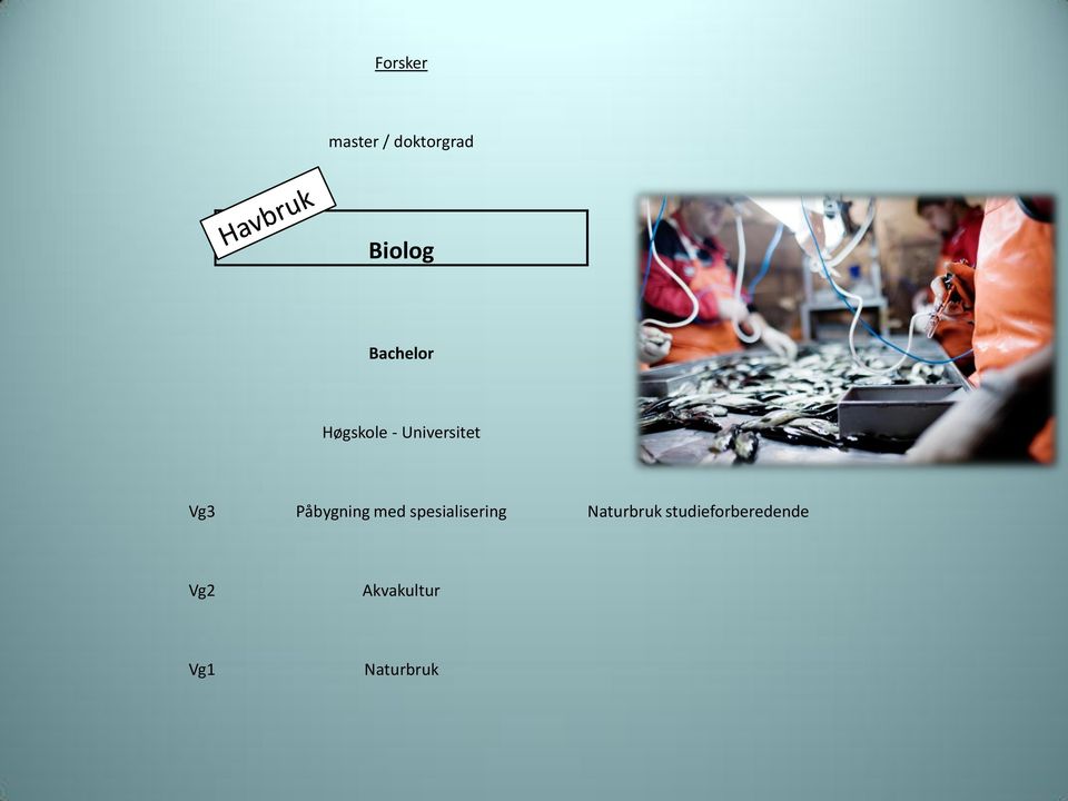 spesialisering Naturbruk