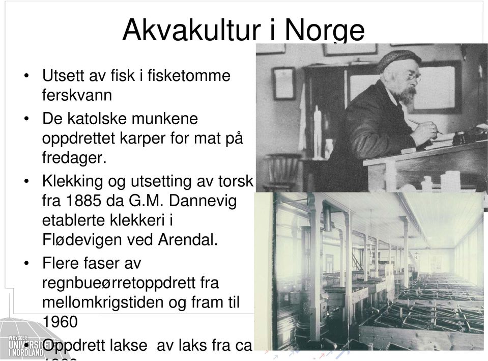 Klekking og utsetting av torsk fra 1885 da G.M.