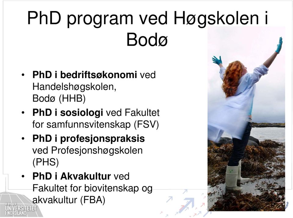 samfunnsvitenskap (FSV) PhD i profesjonspraksis ved