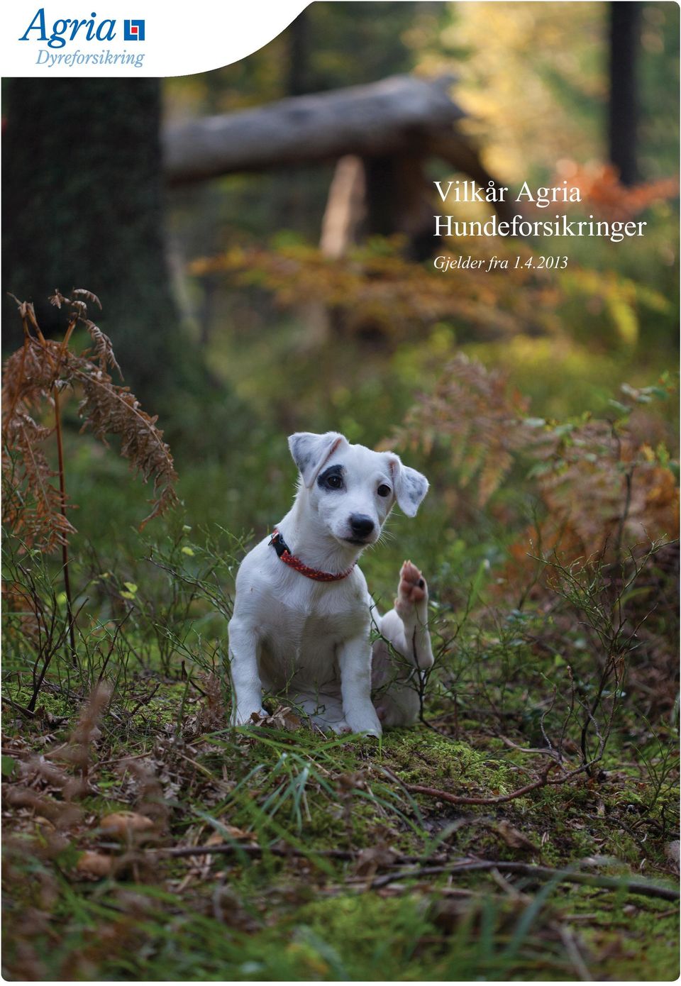 Vilkår Agria Hundeforsikringer. Gjelder fra - PDF Gratis nedlasting