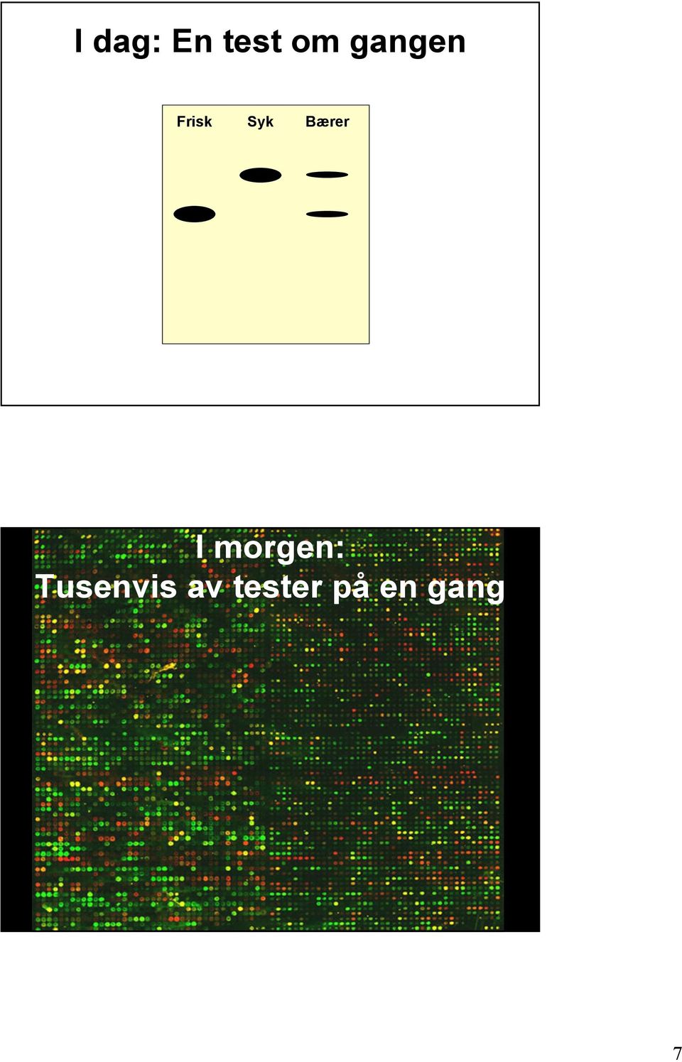 Bærer I morgen: