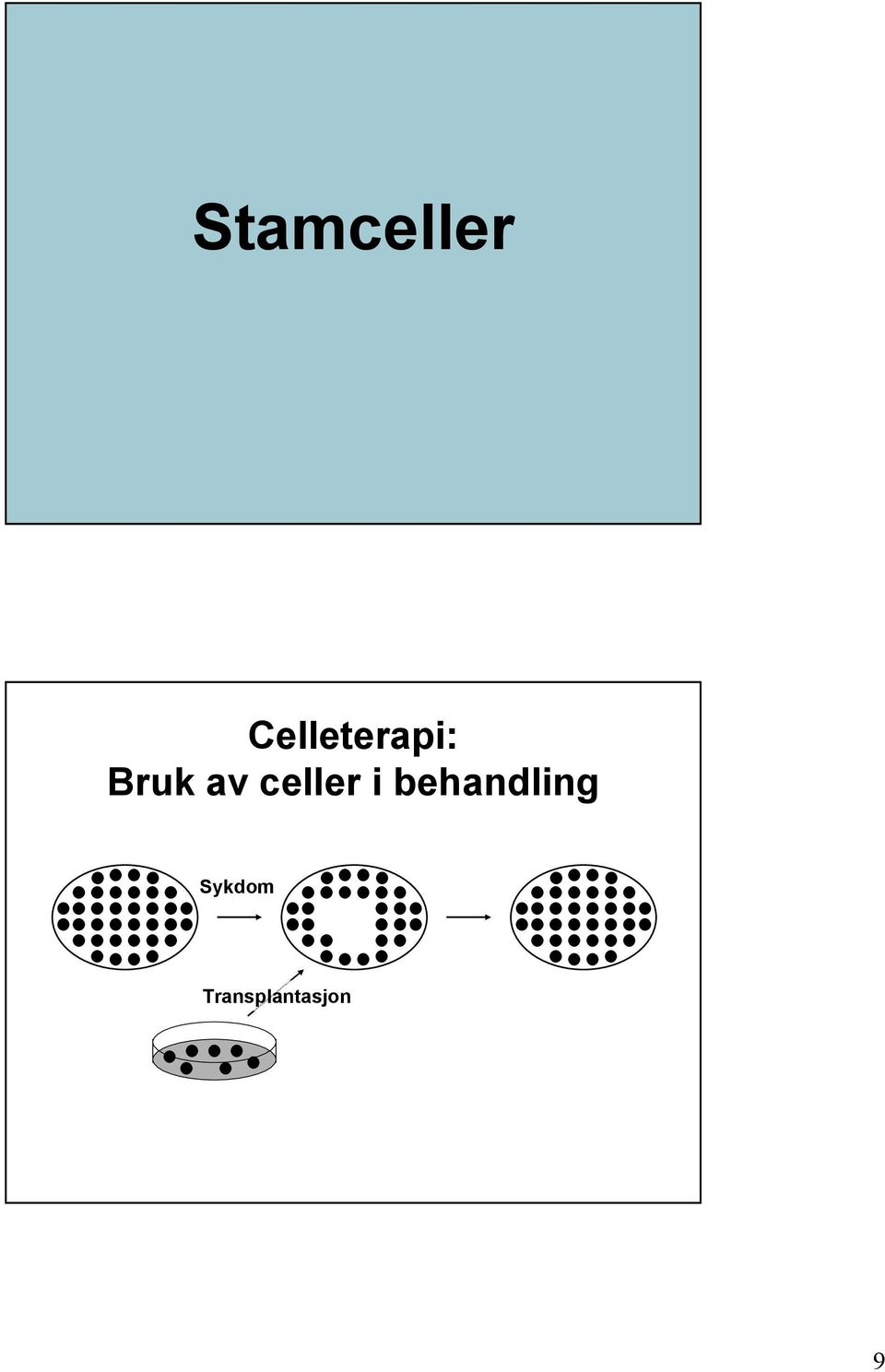 av celler i