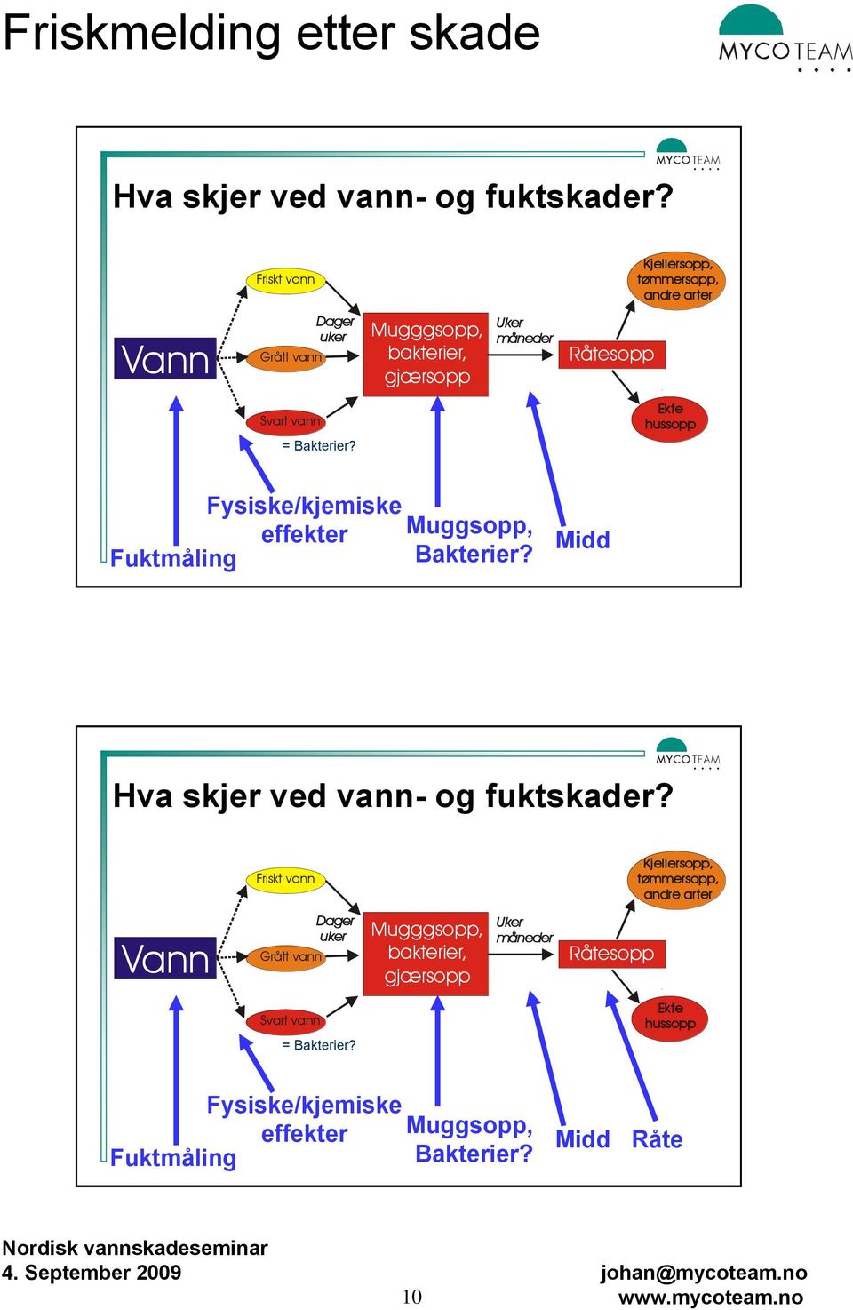 Svart vann Ekte hussopp = Bakterier? Fysiske/kjemiske effekter Muggsopp, Fuktmåling Bakterier?