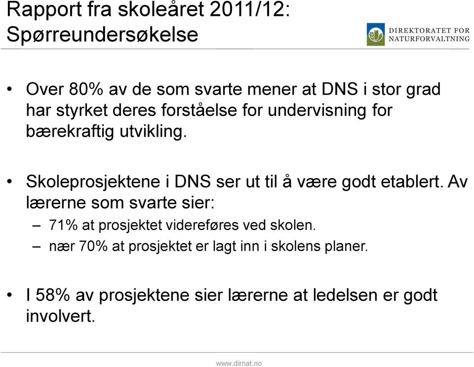 Skoleprosjektene i DNS ser ut til å være godt etablert.