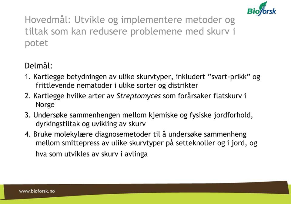 Kartlegge hvilke arter av Streptomyces som forårsaker flatskurv i Norge 3.