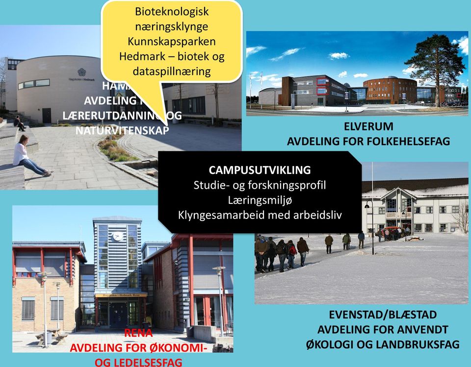 CAMPUSUTVIKLING Studie- og forskningsprofil Læringsmiljø Klyngesamarbeid med arbeidsliv X