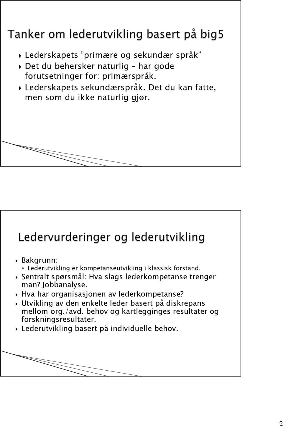 Sentralt spørsmål: Hva slags lederkompetanse trenger man? Jobbanalyse. Hva har organisasjonen av lederkompetanse?