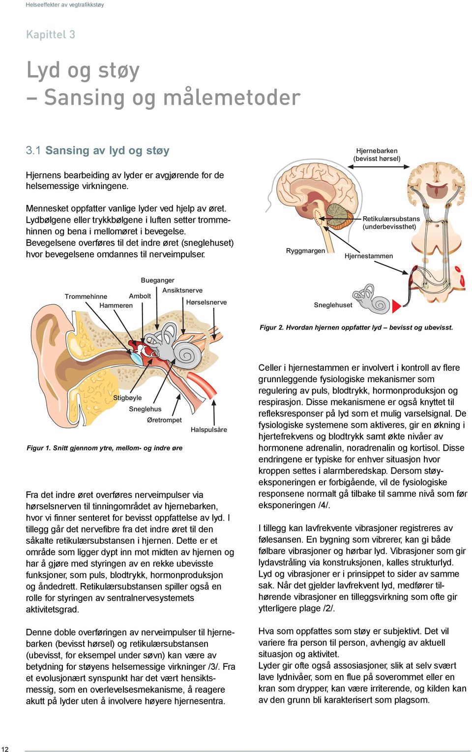 Bevegelsene overføres til det indre øret (sneglehuset) hvor bevegelsene omdannes til nerveimpulser.
