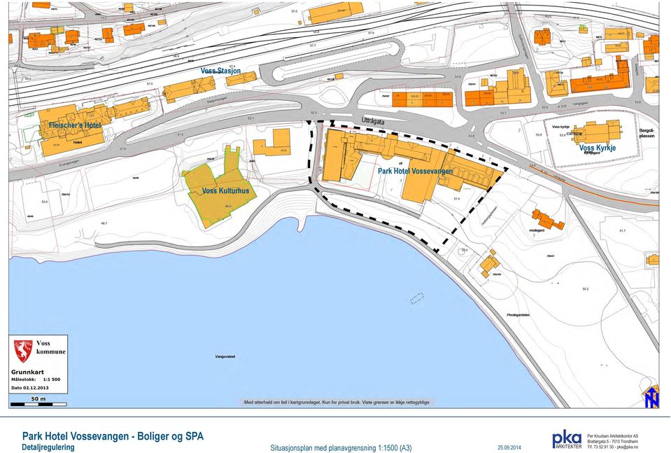 Boliger og SPA Detaljregulering Situasjonsplan med