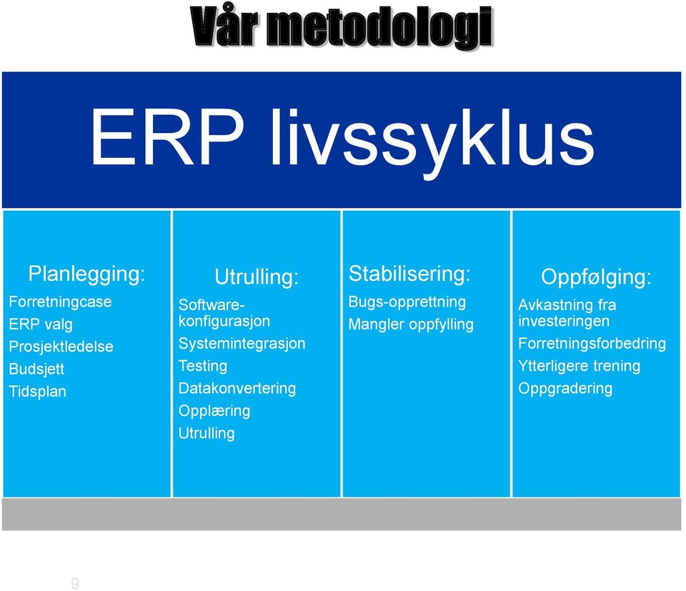 Systemintegrasjon Testing Datakonvertering Opplæring Bugs-opprettning Mangler