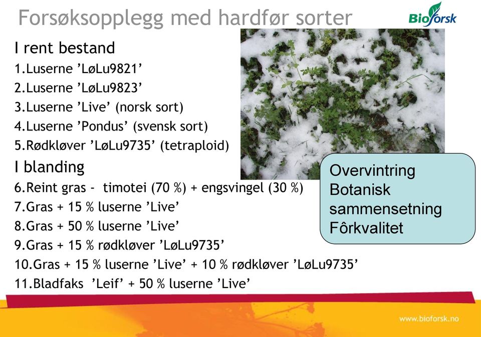 Reint gras - timotei (70 %) + engsvingel (30 %) 7.Gras + 15 % luserne Live 8.Gras + 50 % luserne Live 9.