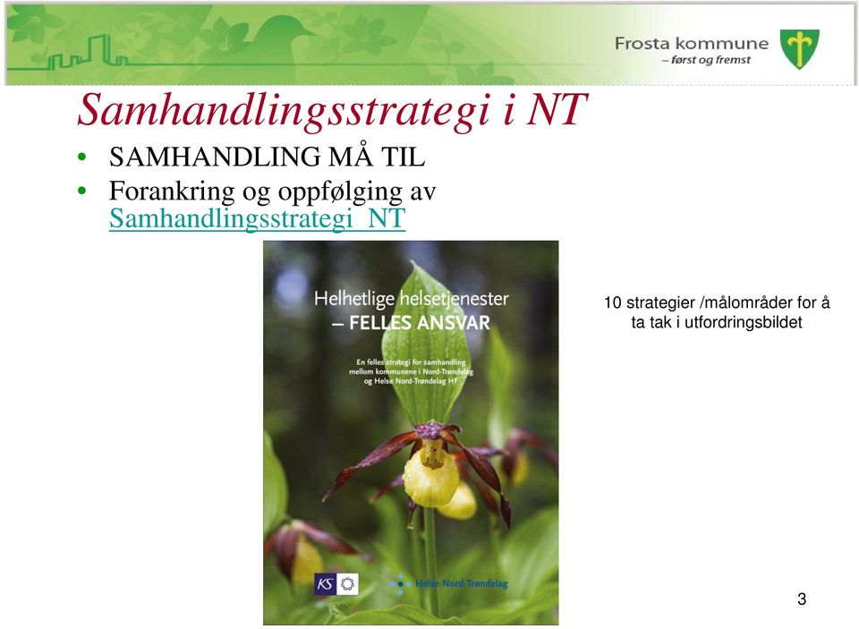 Samhandlingsstrategi NT 10 strategier