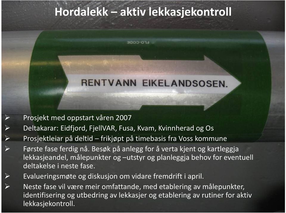 Besøk på anlegg for å verta kjent og kartleggja lekkasjeandel, målepunkter og utstyr og planleggja behov for eventuell deltakelse i neste fase.