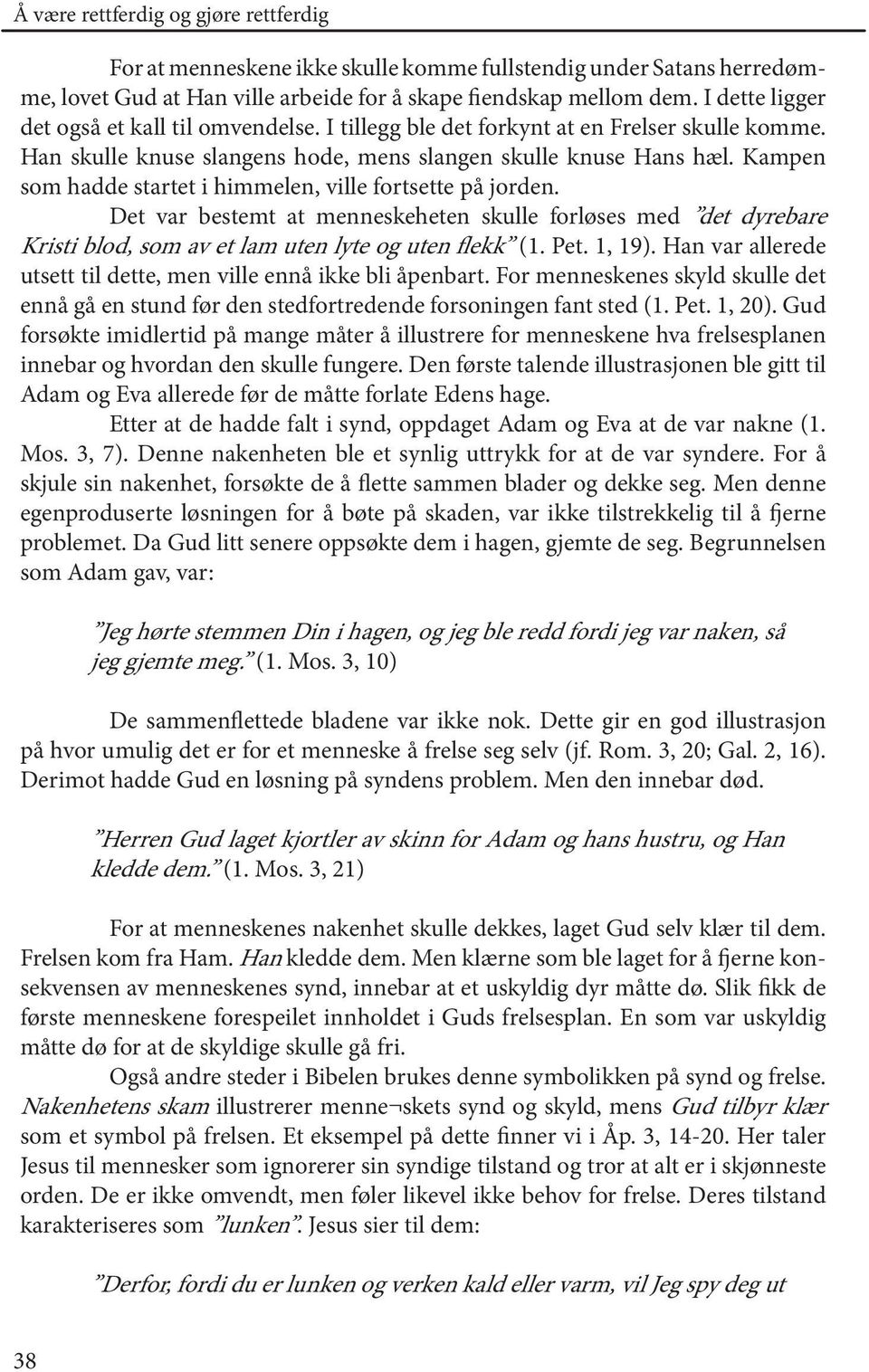 Kampen som hadde startet i himmelen, ville fortsette på jorden. Det var bestemt at menneskeheten skulle forløses med det dyrebare Kristi blod, som av et lam uten lyte og uten flekk (1. Pet. 1, 19).