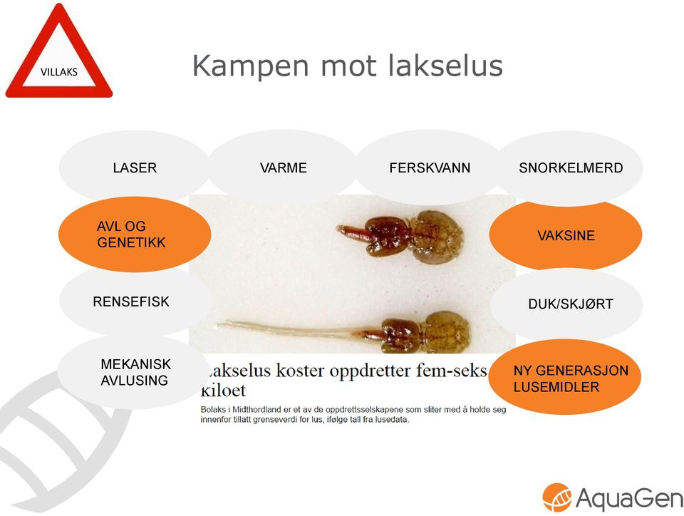 GENETIKK VAKSINE RENSEFISK DUK/SKJØRT