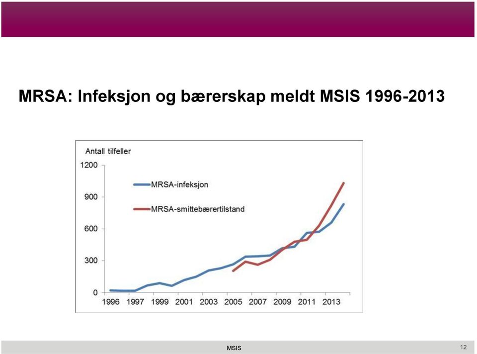 bærerskap