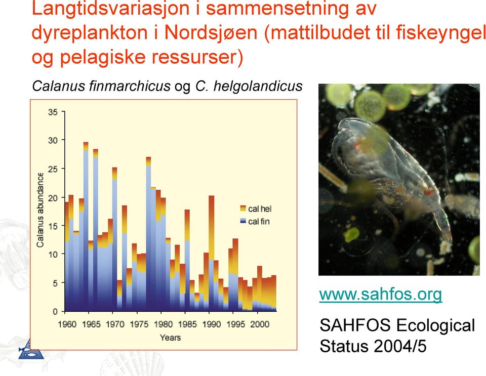 pelagiske ressurser) Calanus finmarchicus og C.