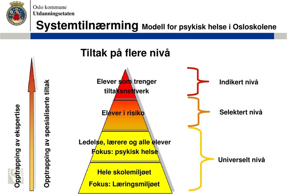 tiltaksnettverk Elever i risiko Ledelse, lærere og alle elever Fokus: psykisk