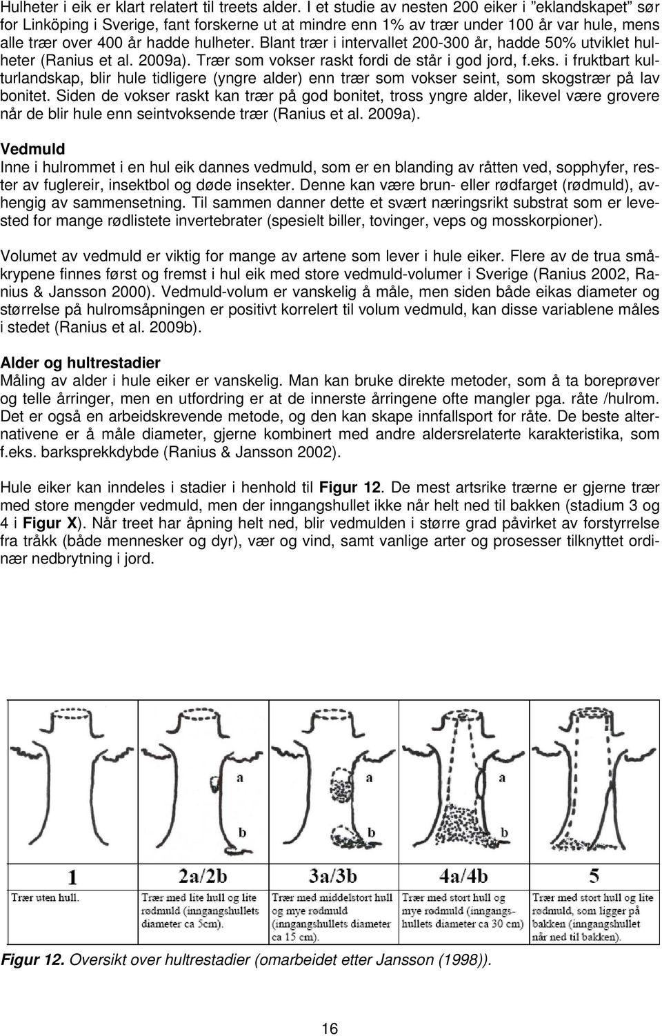 Blant trær i intervallet 200-300 år, hadde 50% utviklet hulheter (Ranius et al. 2009a). Trær som vokser raskt fordi de står i god jord, f.eks.
