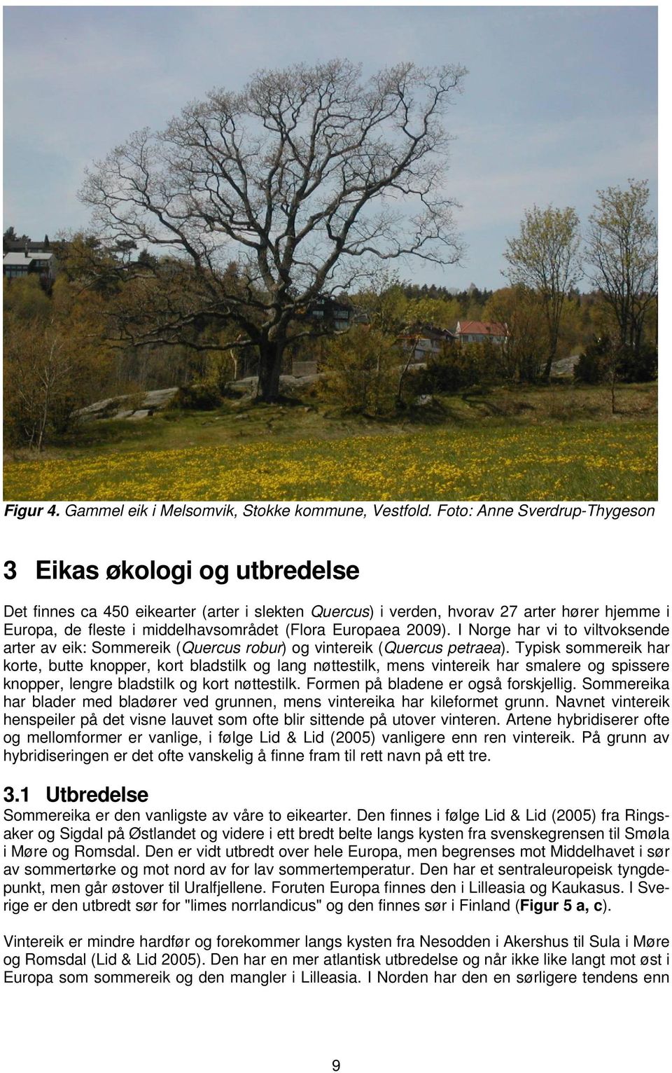 Europaea 2009). I Norge har vi to viltvoksende arter av eik: Sommereik (Quercus robur) og vintereik (Quercus petraea).
