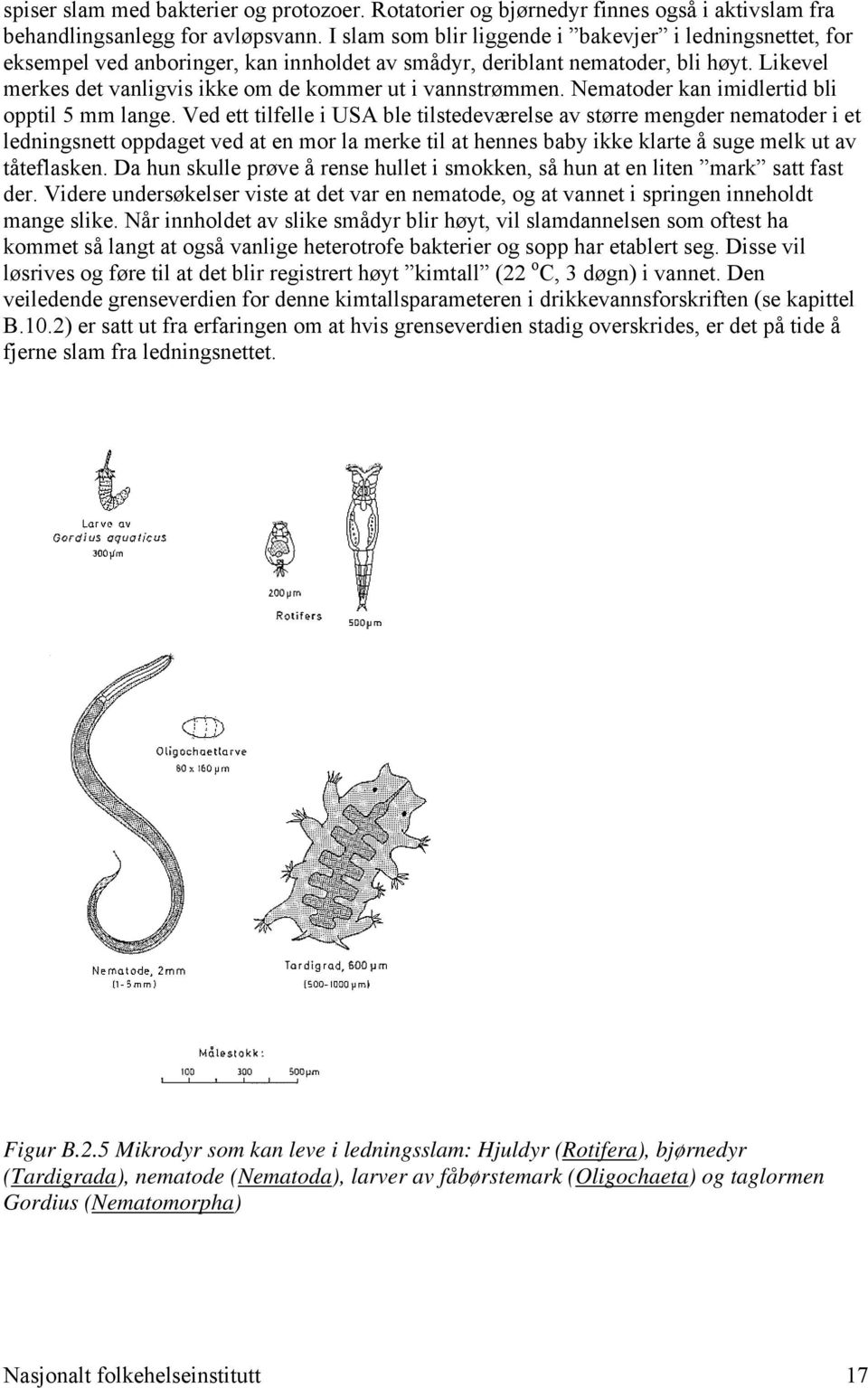 Likevel merkes det vanligvis ikke om de kommer ut i vannstrømmen. Nematoder kan imidlertid bli opptil 5 mm lange.