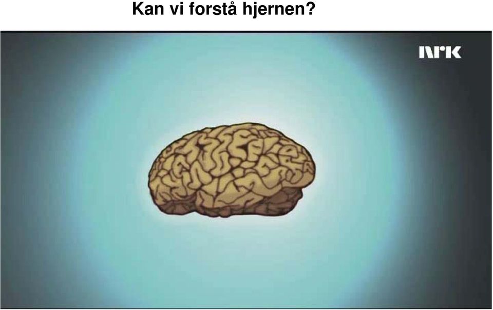 hjernen?