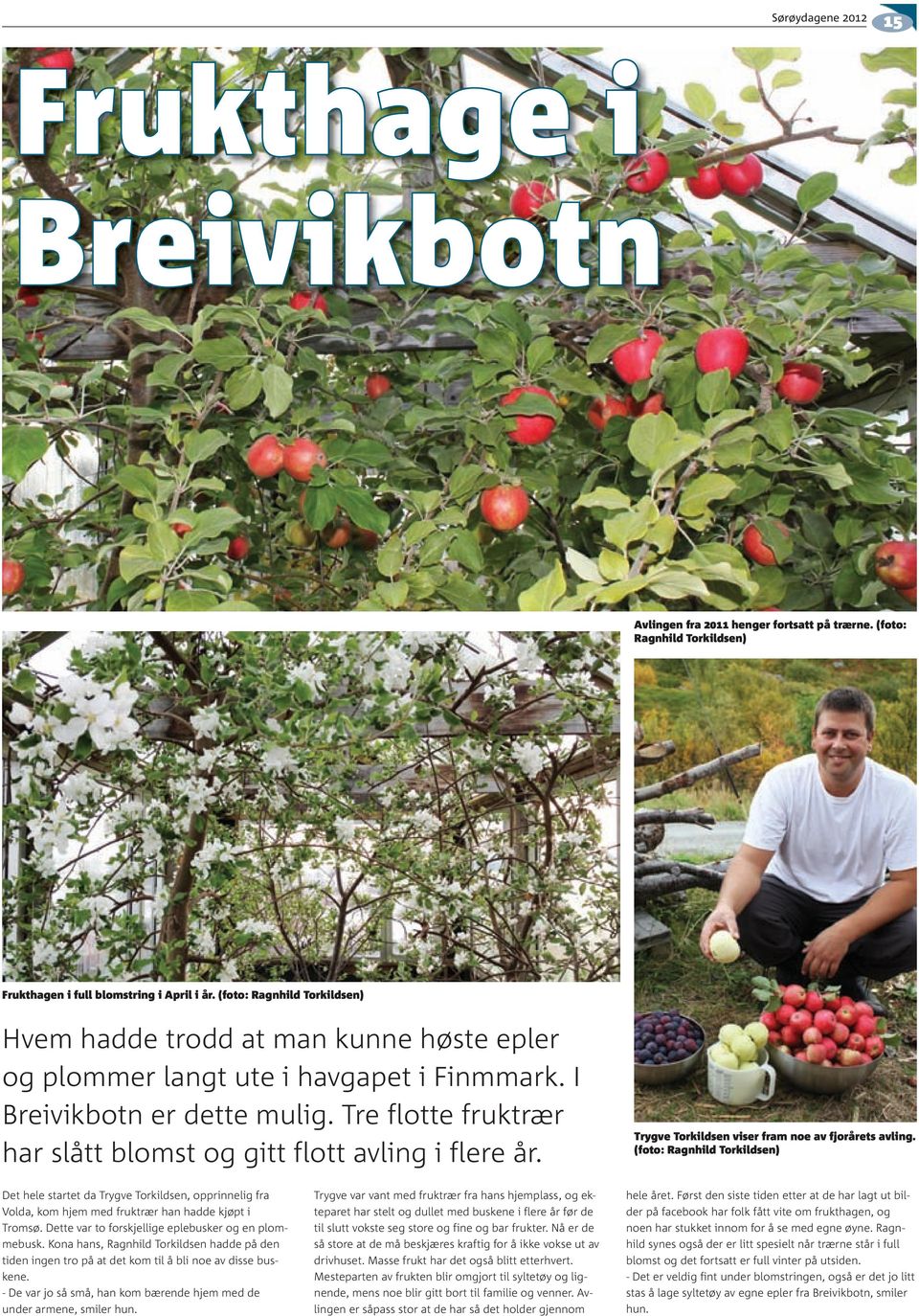 Tre flotte fruktrær har slått blomst og gitt flott avling i flere år. Trygve Torkildsen viser fram noe av fjorårets avling.